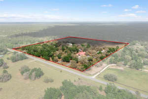 8123 LECANTO HIGHWAY, LECANTO, FL 34461 - MLS#MFROM677445