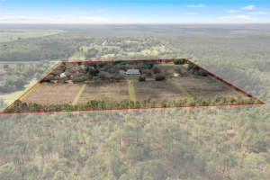 8123 LECANTO HIGHWAY, LECANTO, FL 34461 - MLS#MFROM677445