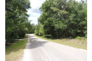 15955 13TH STREET, WILLISTON, FL 32696 - MLS#MFROM677612