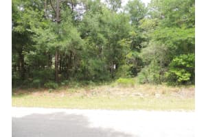 15955 13TH STREET, WILLISTON, FL 32696 - MLS#MFROM677612