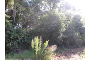 00 W. HIGHWAY 40, DUNNELLON, FL 34431 - MLS#MFROM677920