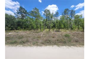 Lot 6 121ST TERRACE, DUNNELLON, FL 34432 Sold 04/04/25