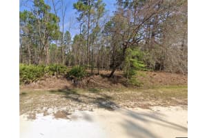 TBA SW 78 PL, DUNNELLON, FL 34432 - MLS#MFROM678352