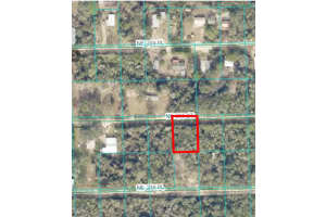 15380 239TH STREET, FORT MC COY, FL 32134 Sold 12/13/24