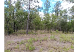00 138TH AVENUE, DUNNELLON, FL 34431 - MLS#MFROM678834