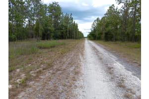 00 138TH AVENUE, DUNNELLON, FL 34431 - MLS#MFROM678834