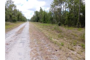 00 138TH AVENUE, DUNNELLON, FL 34431 - MLS#MFROM678834