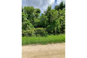 18785 49TH PLACE, DUNNELLON, FL 34432 Sold 10/24/24