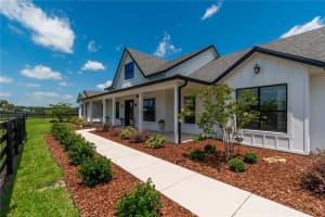 6810 54TH LOOP, OCALA, FL 34482 Sold 12/13/24