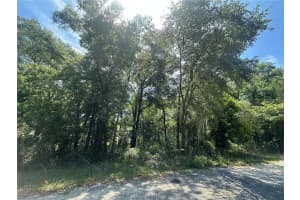 0 154TH TERRACE, WILLISTON, FL 32696 - MLS#MFROM679317