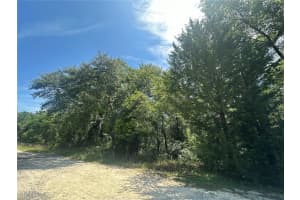 0 154TH TERRACE, WILLISTON, FL 32696 - MLS#MFROM679317