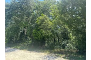 0 154TH TERRACE, WILLISTON, FL 32696 - MLS#MFROM679317