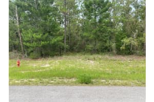 TBD 136 STREET, OCALA, FL 34474 Sold 02/11/25