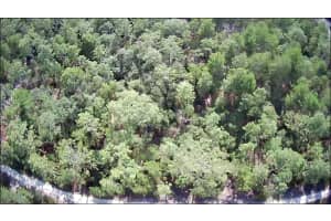 Lot 12 87TH CIRCLE, OCALA, FL 34474 Sold 02/21/25