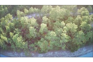 Lot 12 87TH CIRCLE, OCALA, FL 34474 Sold 02/21/25