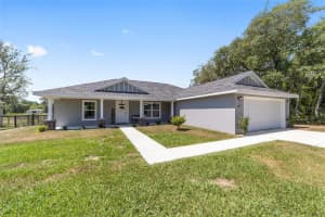 2454 W. RILEY DRIVE DRIVE, CITRUS SPRINGS, FL 34434 Sold 12/09/24