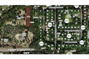 796 W LIGHTWOOD ST, CITRUS SPRINGS, FL 34434 - MLS#MFROM679574