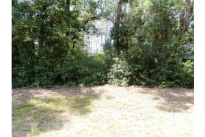 796 W LIGHTWOOD ST, CITRUS SPRINGS, FL 34434 - MLS#MFROM679574