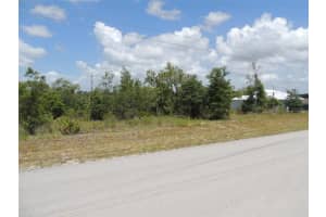 13591 51ST LANE, WILLISTON, FL 32696 - MLS#MFROM679706