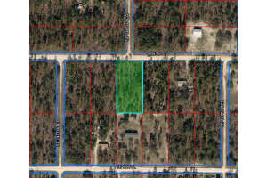 14670 4TH STREET, WILLISTON, FL 32696 Sold 12/09/24