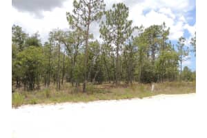 14670 4TH STREET, WILLISTON, FL 32696 Sold 12/09/24