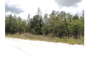 14670 4TH STREET, WILLISTON, FL 32696 Sold 12/09/24