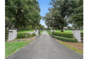 6975 NW HIGHWAY 225A, OCALA, FL 34482 - MLS#MFROM680075