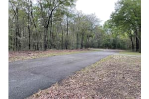 Lot 6 6 CIRCLE, WILLISTON, FL 32696 - MLS#MFROM680185