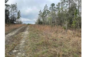 Lot 5 156 AVENUE, WILLISTON, FL 32696 - MLS#MFROM680187