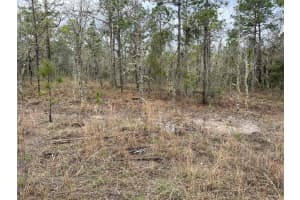 Lot 5 156 AVENUE, WILLISTON, FL 32696 - MLS#MFROM680187