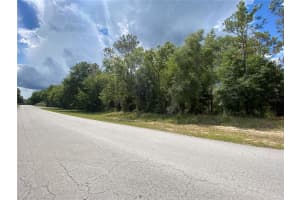 Lot 57 203 AVENUE, DUNNELLON, FL 34431 - MLS#MFROM680486
