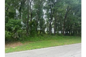 0 168TH LOOP, OCALA, FL 34473 Sold 07/23/25
