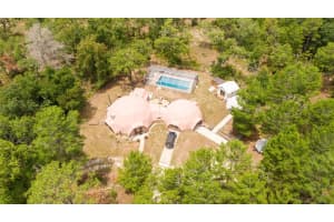 11710 161ST COURT, OCKLAWAHA, FL 32179 Sold 04/04/25
