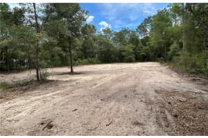 000 202ND COURT, DUNNELLON, FL 34431 - MLS#MFROM680711