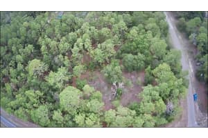 9223 BERTIN DRIVE, CITRUS SPRINGS, FL 34434 - MLS#MFROM680793