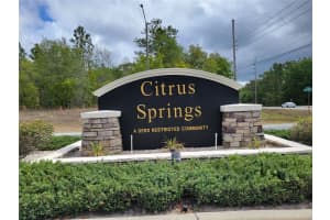 10522 ELKCAM BOULEVARD, CITRUS SPRINGS, FL 34433 - MLS#MFROM680799