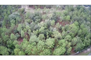 10522 ELKCAM BOULEVARD, CITRUS SPRINGS, FL 34433 - MLS#MFROM680799