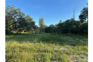 7772 151ST PLACE, DUNNELLON, FL 34432 - MLS#MFROM680832