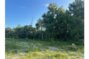7772 151ST PLACE, DUNNELLON, FL 34432 - MLS#MFROM680832