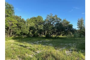 7772 151ST PLACE, DUNNELLON, FL 34432 - MLS#MFROM680832