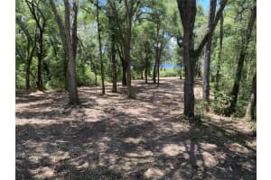 Lot 163 SHOREWOOD DRIVE, DUNNELLON, FL 34431 - MLS#MFROM681059