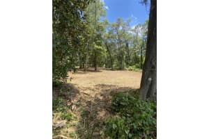 Lot 163 SHOREWOOD DRIVE, DUNNELLON, FL 34431 - MLS#MFROM681059