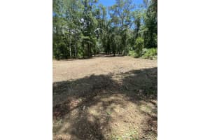 Lot 163 SHOREWOOD DRIVE, DUNNELLON, FL 34431 - MLS#MFROM681059