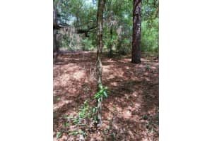 00 SW 206TH COURT ROAD, DUNNELLON, FL 34431 Sold 12/17/24