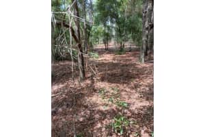 00 SW 206TH COURT ROAD, DUNNELLON, FL 34431 Sold 12/17/24