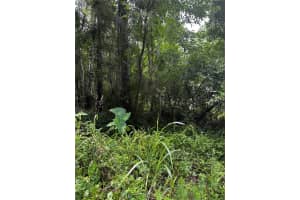 TBD 18TH PLACE, OCALA, FL 34481 Sold 11/25/24