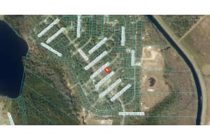 24 SEQUOIA DRIVE LANE, OCKLAWAHA, FL 32179 Sold 02/26/25