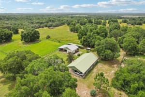 27500 SE HIGHWAY 42, UMATILLA, FL 32784 Sold 12/18/24