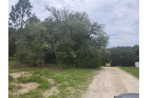 MLS# MFROM681693, Ocala, Florida 34481