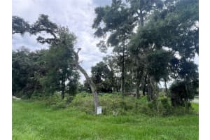 TBD NE JACKSONVILLE RD, OCALA, FL 34479 Sold 01/29/25